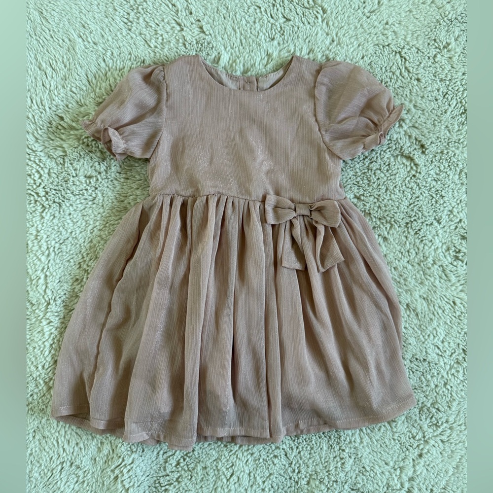 H&M Blush Chiffon Dress - 12-18 months